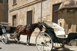 Les galeres de Palma tampoc podran circular amb avís groc per altes temperatures