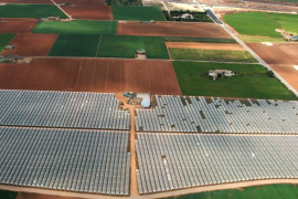 Els companys de Company adoben el terreny per a una tractorada