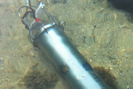 Investigadors de les Balears i del País Valencià descriuen els renous del Mediterrani