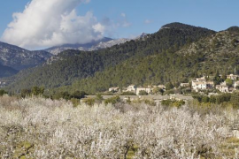 La serra de Tramuntana acollirà el projecte 'Missions Artístiques'