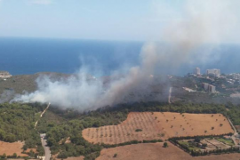 Incendi forestal a Cales de Mallorca