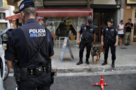 La Policia de Palma deté més de 20 persones per diversos delictes a la Platja de Palma