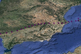 El GOB celebra l’arribada de l’àguila peixatera Amàlia després del seu viatge migratori