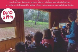 Celebració del Dia Mundial dels Voltors a Campanet