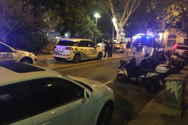 Noguera: «L’actuació de la policia local de Palma va ser un malentès i un error»