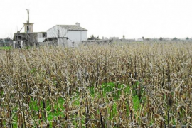 El Govern vol apostar per la innovació en el sector agrari.