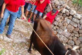 Fornalutx torna celebrar la Baixada del Bou