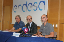 El GOB publica la 32a edició de l'anuari ornitològic amb la col·laboració d'Endesa
