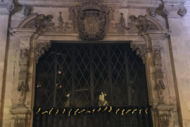 Palma desperta, l'1-O, plena de llaços grocs