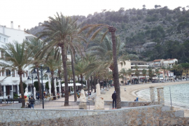 El PP insisteix: "El Pacte ha abandonat l'arbrat públic"