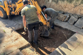 Les restes del cementiri de Sant Ferran pertanyen a tres dels cinc afusellats