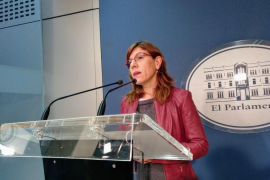 Camargo no es presentarà a les pròximes eleccions per no compartir l’estratègia del partit