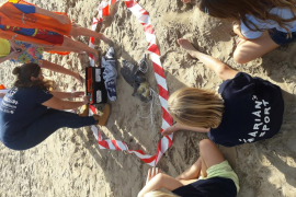 Recullen 153 kg de residus de la platja del Toro en una jornada de sensibilització