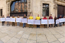 Els activistes s'han concentrat davant el Consell de Mallorca i l'Ajuntament de Palma.