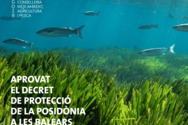 La Conselleria de Medi Ambient recupera el butlletí 'Ciberespècies'