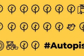 La Plataforma Antiautopista es queda a les portes de poder intervenir al ple del Consell