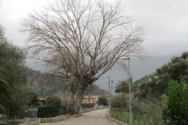 Carreteres demana un informe extern sobre el poll del Camp de Sa mar