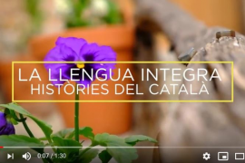 [VÍDEO] Valldemossa posa en marxa una campanya d'integració lingüística