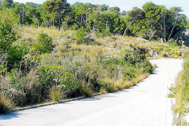 El promotor de Muleta admet que el sòl ja no podrà ser urbà però seguirà amb la reclamació patrimonial