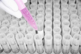 Cinc investigadors de Biologia de la UIB, entre els més influents del món