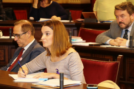 El ple del Parlament rebutja la proposta de reforma fiscal del PP
