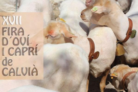 Imatge del cartell de la fira. 