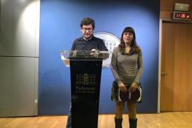 Podem demana «un major esforç» al Govern per «garantir l'accés a l'habitatge»