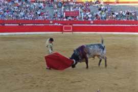 La justícia espanyola tomba els articles de la Llei de Toros que impedeixen la mort de l'animal