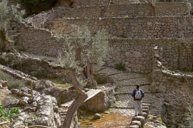 Llum verda al Pla Especial d'Ordenació i Protecció de la ruta de Pedra en Sec