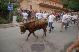 El Parlament rebutja la PNL del PP de 'protegir' el correbou de Fornalutx