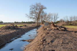El GOB demana explicacions al Govern per «l'arrasament» del torrent de Na Borges