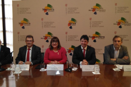 El Govern i la UIB adquireixen un microscopi electrònic per 800.000 euros