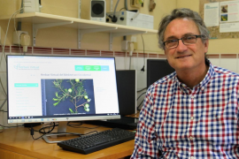 La UIB actualitza l'Herbari Virtual del Mediterrani Occidental