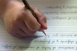 Segons CCOO, el qüestionari «respon a una visió de l'educació determinada, probablement enfocada a alumnes de més edat». 