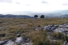 Paralitzen les obres del xalet a la part alta de la Serra d'Alfàbia sobre les quals va alertar el GOB