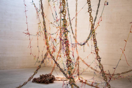 L'Institut d'Estudis Baleàrics presenta el projecte 'Paisatges essencials' a les fires de Madrid i Lisboa