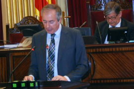 El conservador Vicenç Serra ha defesat la proposta del seu partit.