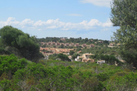 El GOB alerta de la situació de desprotecció del sòl rústic