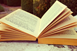 L'IEB incrementa en 14.000 euros les ajudes de mobilitat del sector literari en els territoris de parla catalana