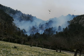 Estabilitzat l'incendi forestal a Son Ordines, amb 14 hectàrees cremades