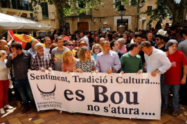 Els organitzadors del correbou de Fornalutx "no acataran" la seva prohibició i exigeixen consens