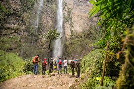Projecten 'Pim Pam Pou' amb la presència dels germans Pou a Palma