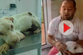 «No som un maltractador, ni cap assassí»