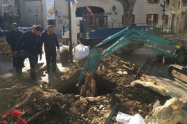 Dos plàtans de plaça morts es substitueixen aquesta setmana per lledoners