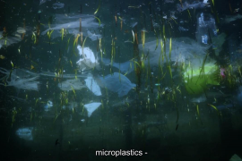 CineCiutat projecta aquest dimecres el documental 'Out of Plastic'