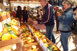 La Fira de la Taronja posa en valor la 'canoneta' i altres varietats locals