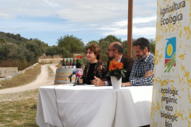 La superfície destinada a agricultura ecològica augmenta gairebé un 11% el 2018