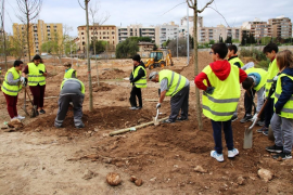 Alumnes de secundària planten els primers arbres del bosc urbà del canòdrom de Palma