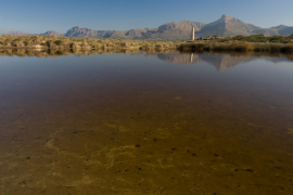 El GOB valora «positivament» la voluntat del Govern d'ampliar el Parc Natural de Llevant