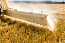 La renovació de les instal·lacions és una dels prioritats dels ajuts.